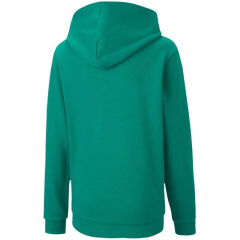Bluza Puma teamGOAL 23 Casuals Hoody Jr 656711 05 164