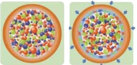 Nawóz do Trawy Wiosenny BarFertile Start Barenbrug 20kg