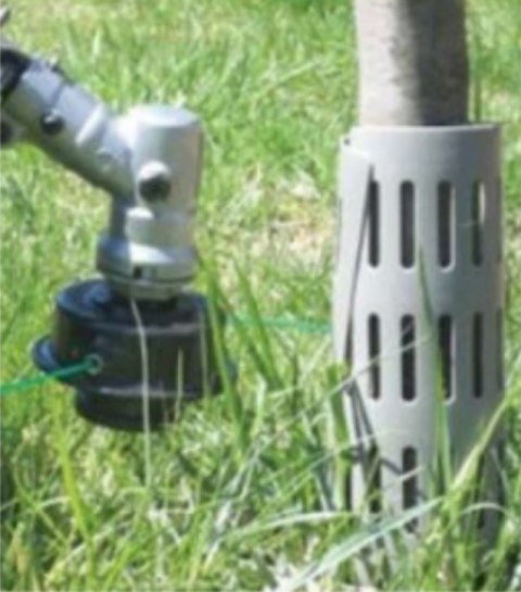 Ochraniacz dla Drzewek Regulowany 20x33,5 cm