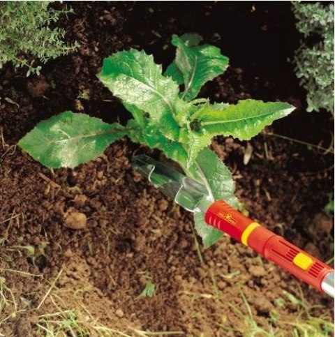 Pielnik do Ostu z Trzonkiem IW-F WOLF-Garten