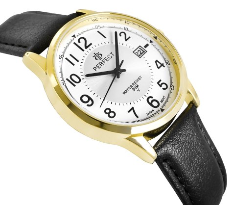 Zegarek Męski PERFECT C710T-09